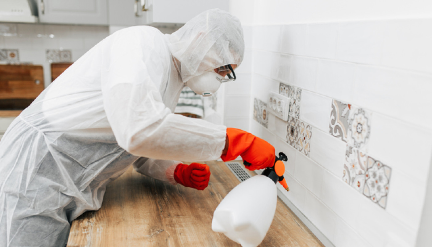 Quel est le meilleur dératiseur de Marseille ?